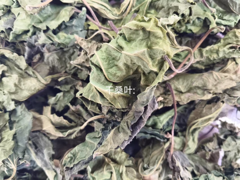桑叶产区，量大从优，价优品廉，产地直发。