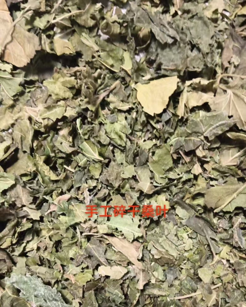 桑叶产区，量大从优，价优品廉，产地直发。