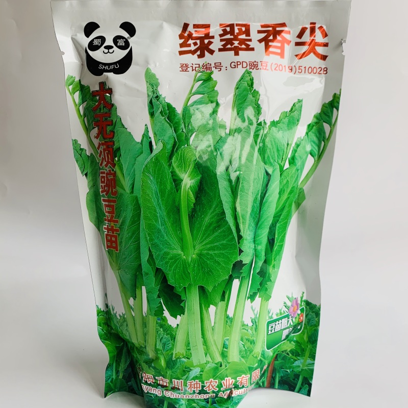 绿叶清香吃豆尖豌豆苗种子南方热销豌豆尖种子清香无须豌豆苗