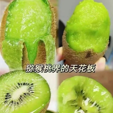 陕西周至猕猴桃