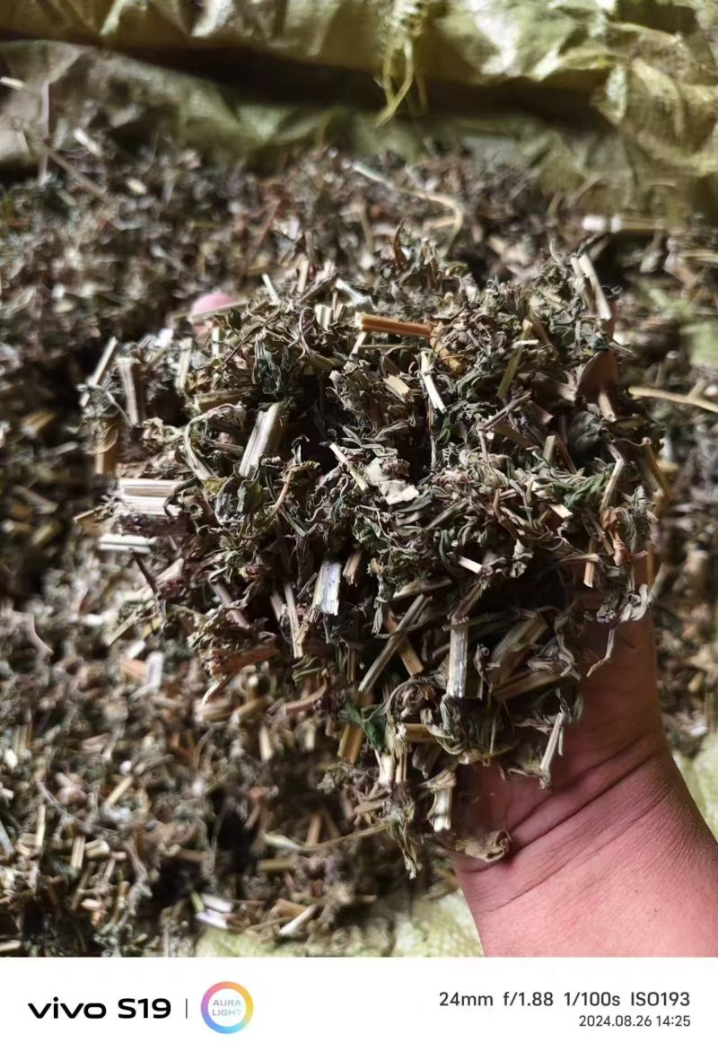 品类齐全益母草，大花，小花无花，精品推荐，产区对接，物美