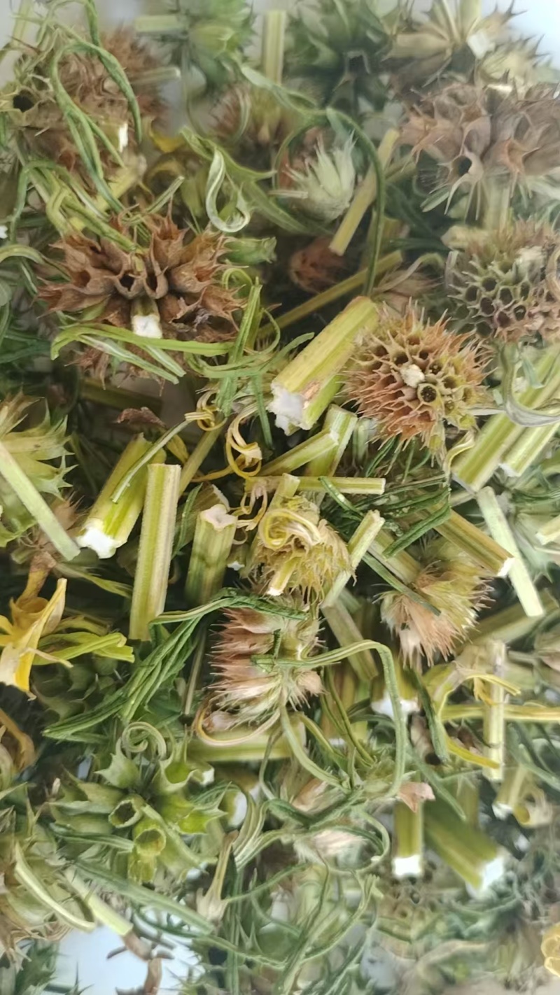 品类齐全益母草，大花，小花无花，精品推荐，产区对接，物美