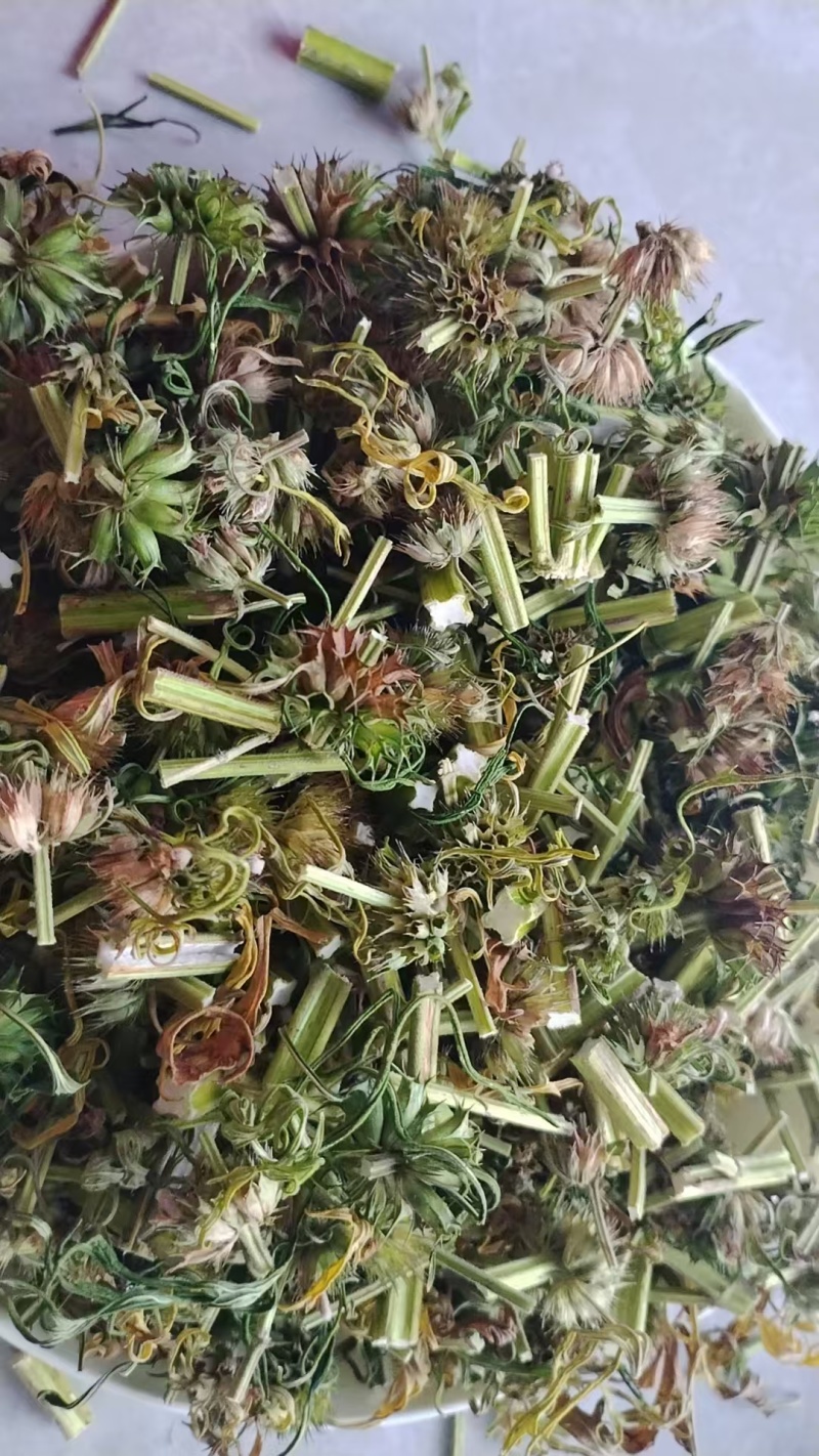 品类齐全益母草，大花，小花无花，精品推荐，产区对接，物美