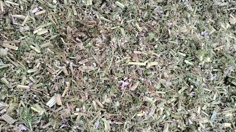 品类齐全益母草，大花，小花无花，精品推荐，产区对接，物美