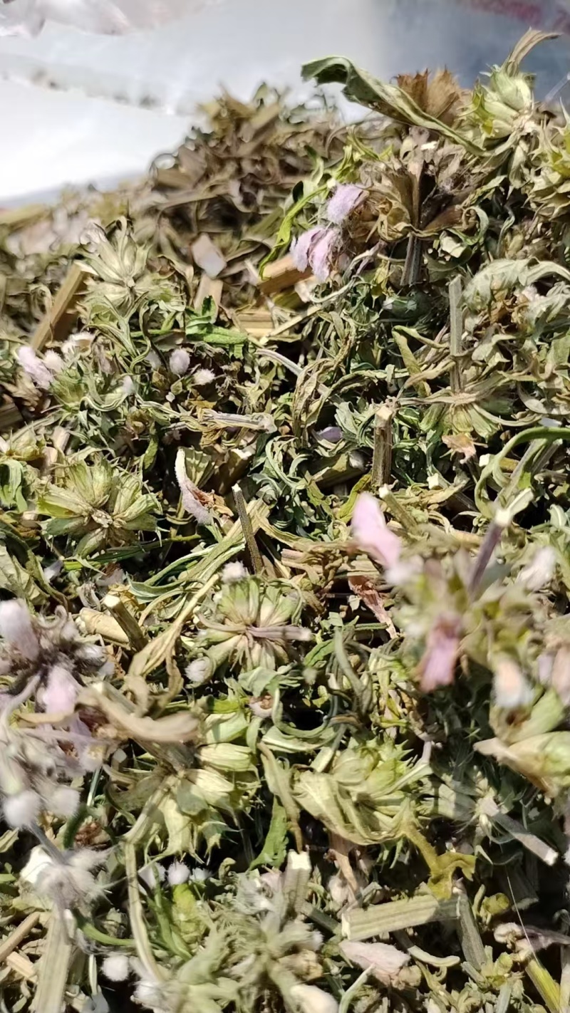 品类齐全益母草，大花，小花无花，精品推荐，产区对接，物美