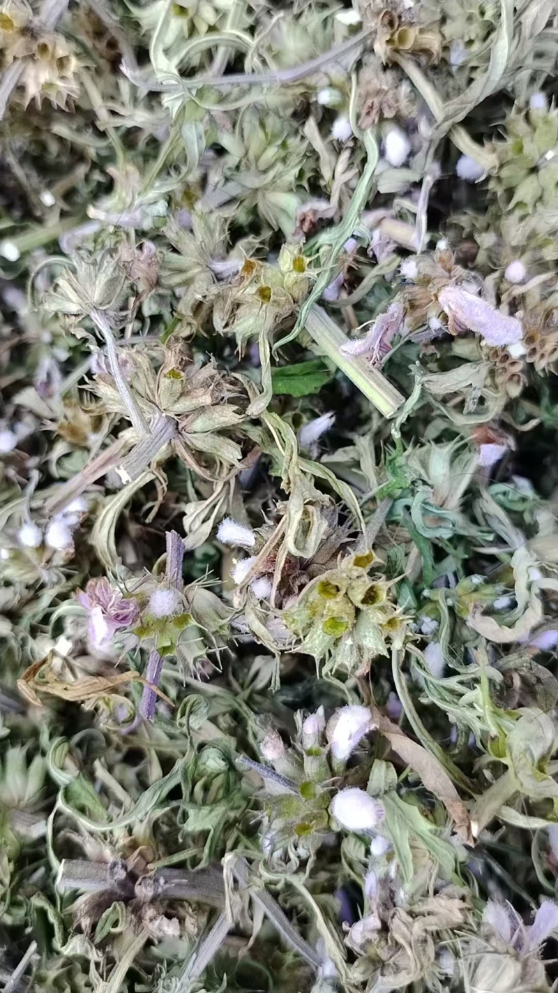 品类齐全益母草，大花，小花无花，精品推荐，产区对接，物美
