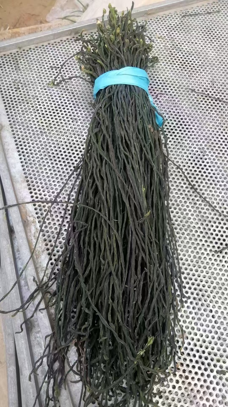 【放心购买】干豆角烘干豆角晒干豆角供应电商工厂商超