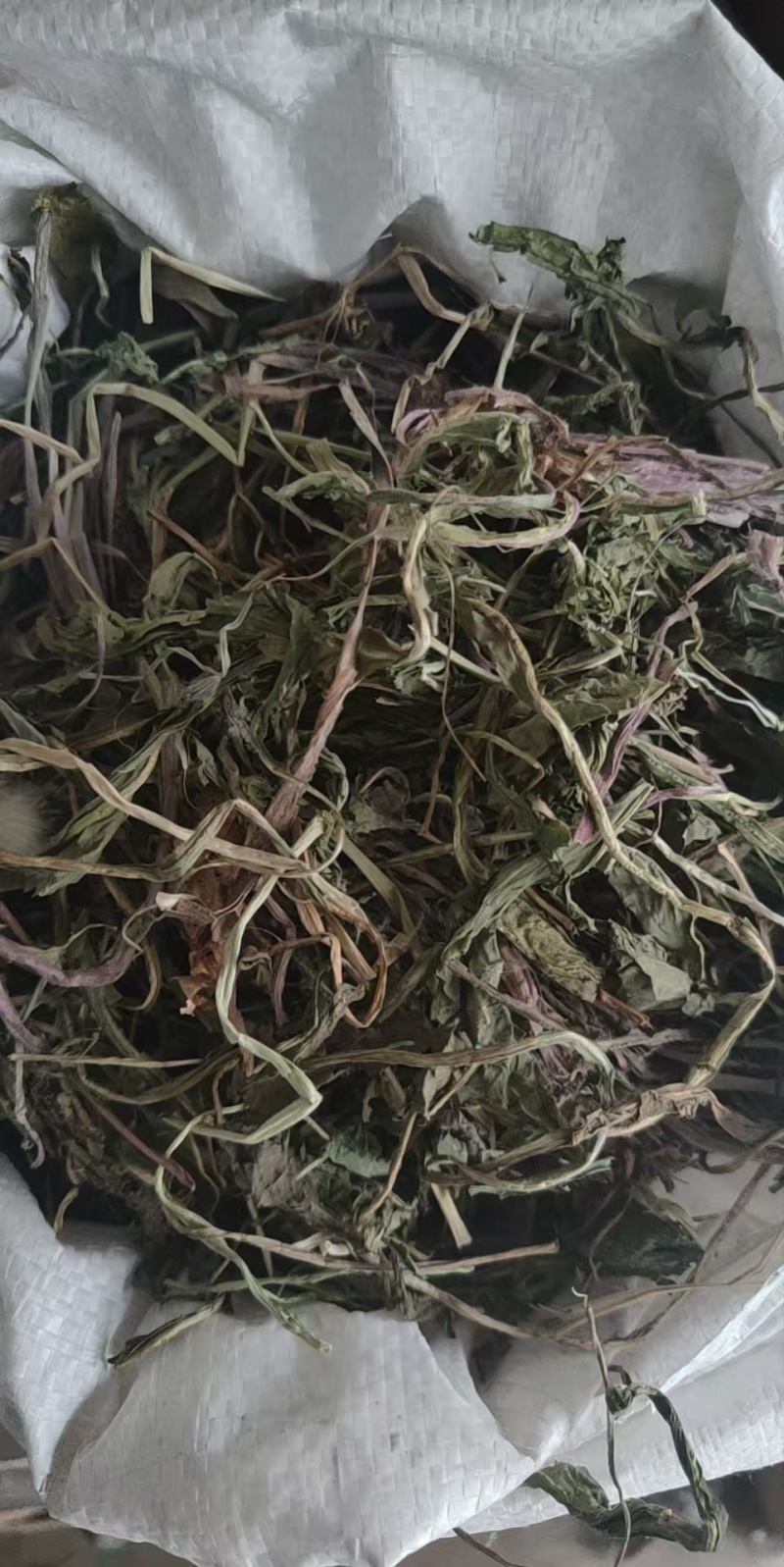 蒲公英通货，市场批发，源头货源，量大从优，产地对接。