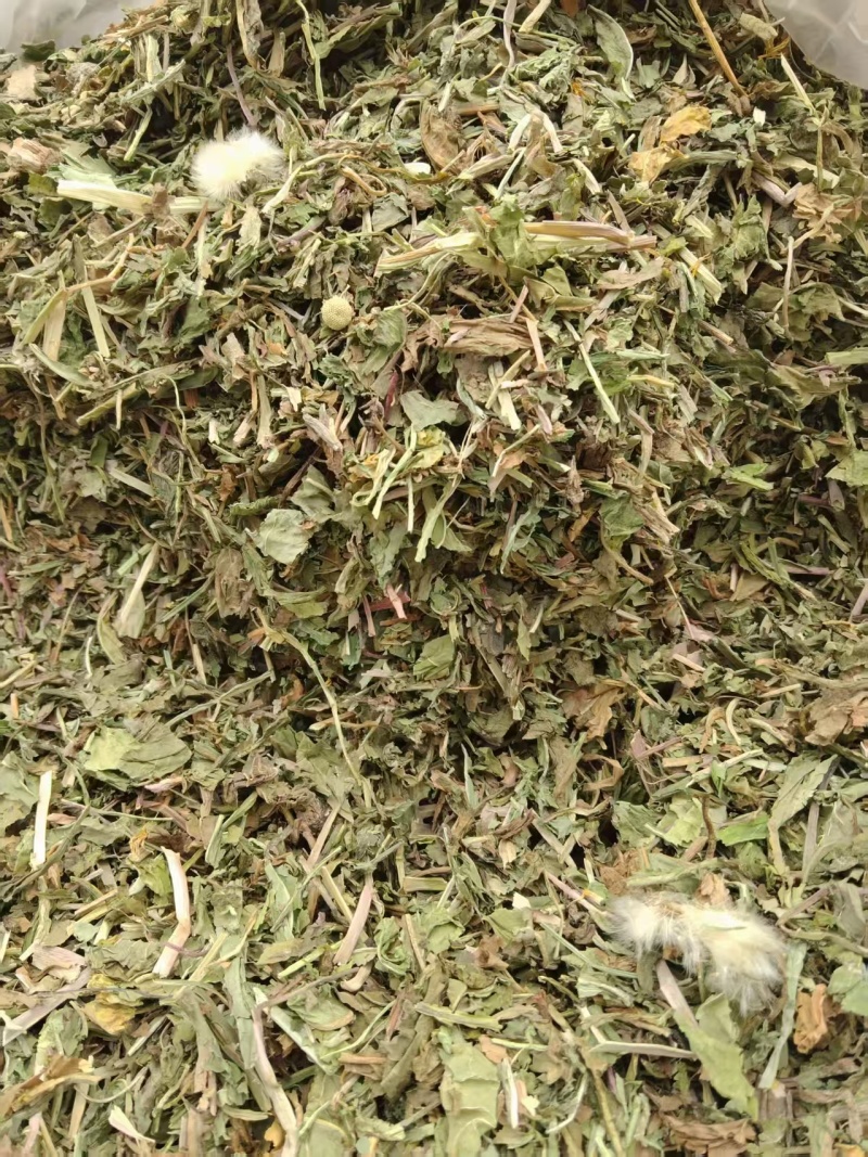 蒲公英通货，市场批发，源头货源，量大从优，产地对接。