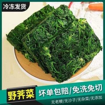 荠菜荠荠菜速冻荠菜野菜冷冻新鲜荠菜馄饨水饺野菜馅荠菜馅