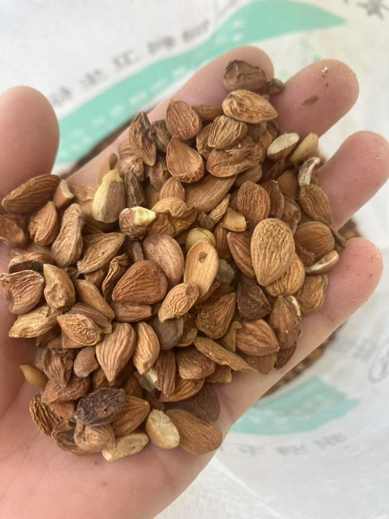 苦杏仁，碎片装，专业产区对接，直营发货，一手直发