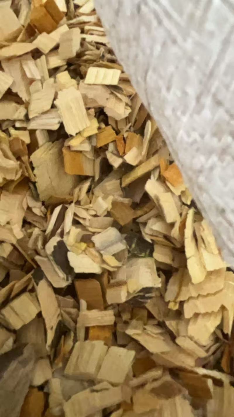 苦木批发，药材基地，直发对接，量大从优，欢迎咨询对接
