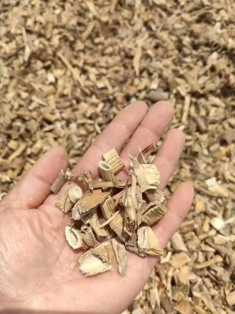 芦根，通货选货都有，产地一手对接，欢迎电话垂询，量大从优