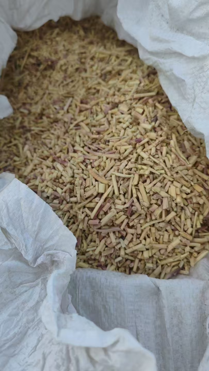 芦根，通货选货都有，产地一手对接，欢迎电话垂询，量大从优