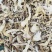 当归切片，产地对接，欢迎咨询对接，一手直发，物美价廉