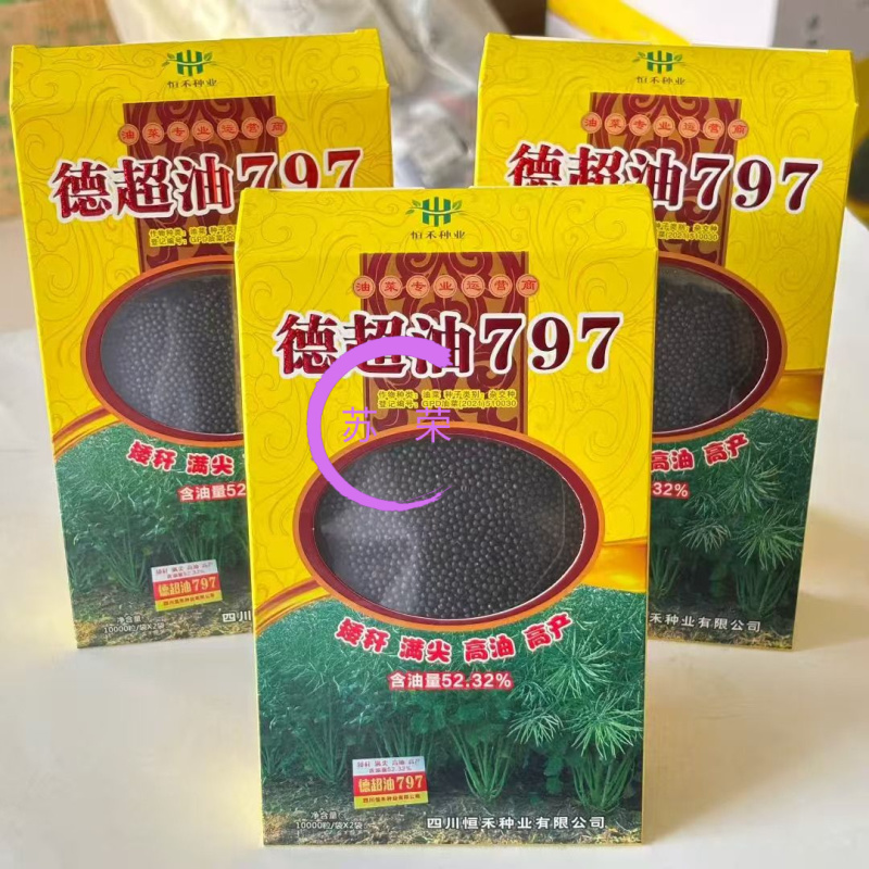 德超油797杂交油菜种子大粒高产抗病矮杆抗倒伏出油率高