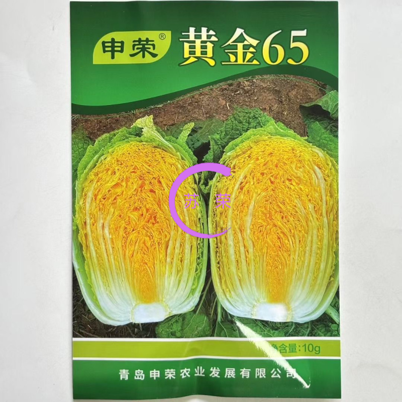 申荣黄金65黄心白菜种子60天绿叶黄芯中熟高产抗病商品性