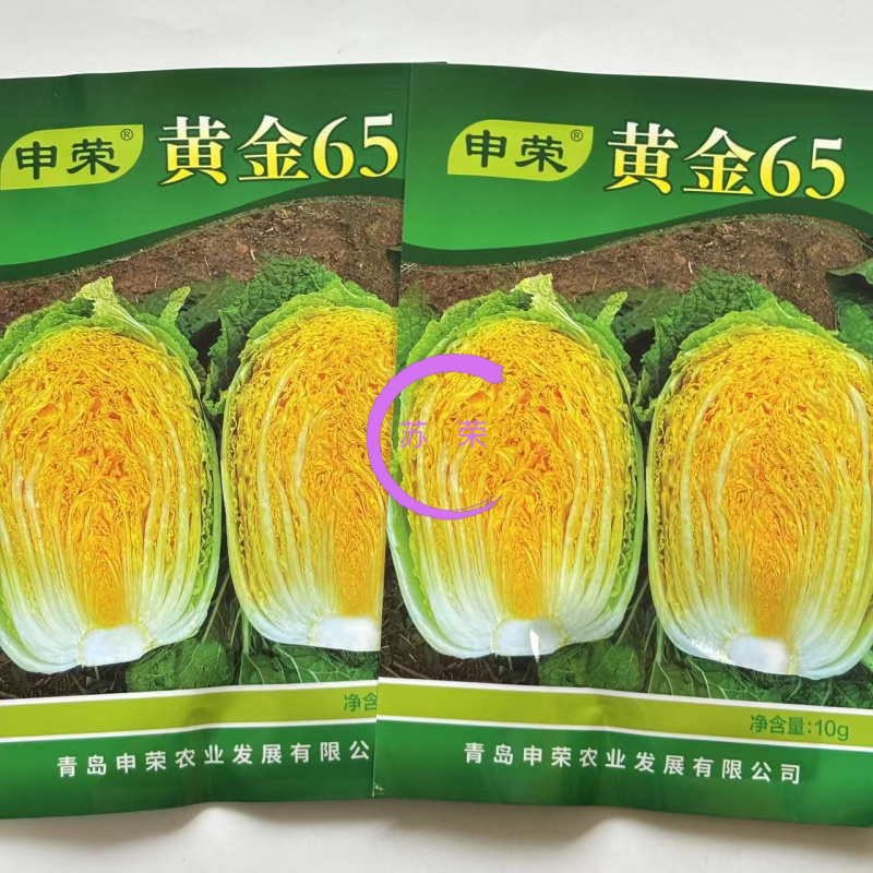申荣黄金65黄心白菜种子60天绿叶黄芯中熟高产抗病商品性