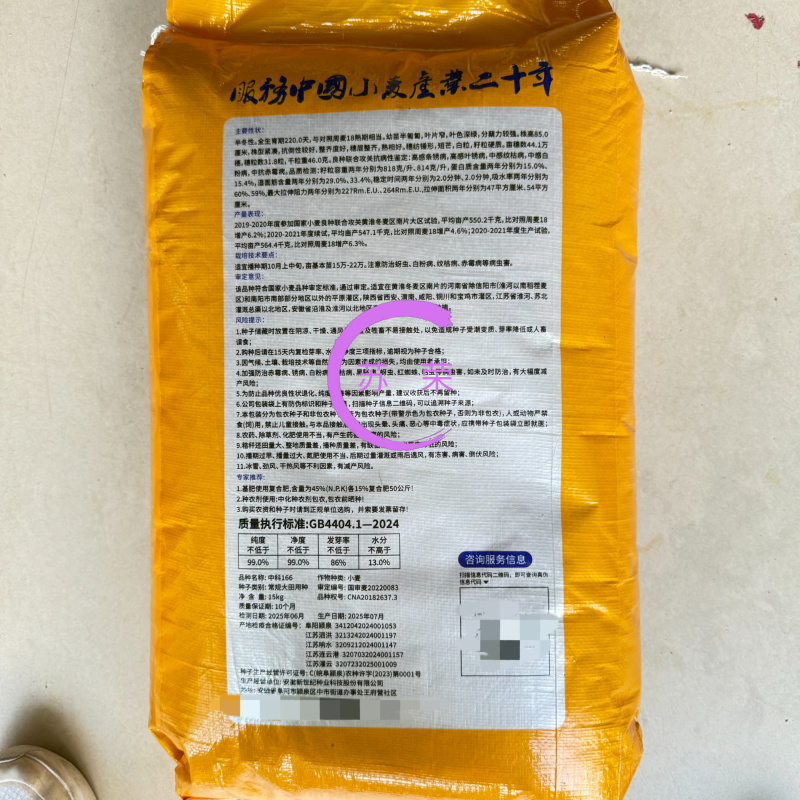 国审小麦原种中科166小麦种子高产矮杆大穗冬小麦种籽抗倒