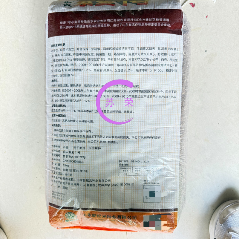 山农紫麦1号黑小麦种子原装正品穗大高产抗病抗旱耐寒农科院