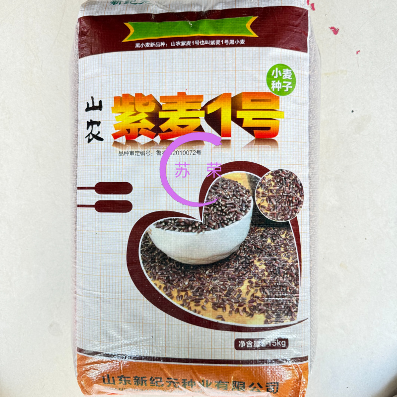 山农紫麦1号黑小麦种子原装正品穗大高产抗病抗旱耐寒农科院