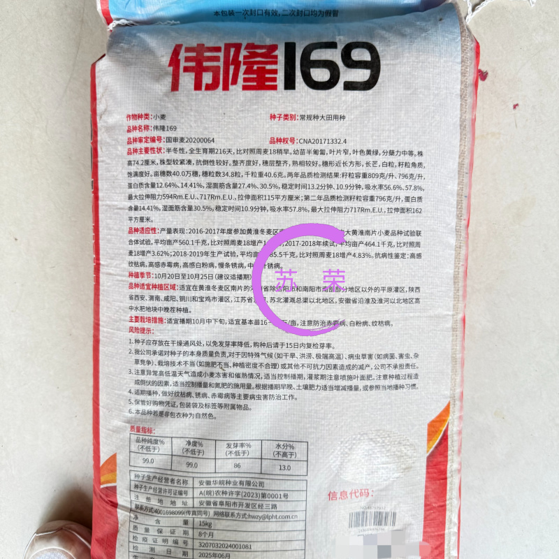 隆平高科伟隆169小麦种子国审小麦种抗倒高产稳产强筋