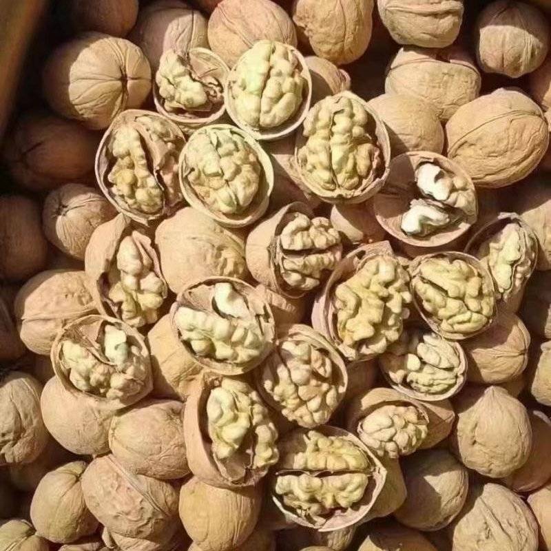 185纸皮核桃