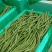高原架豆王豆角四季豆无筋豆