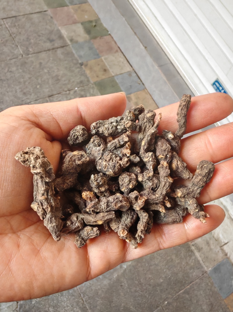 天葵子水洗天葵子