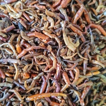 蜈蚣脚合适打粉用