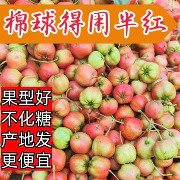 沂蒙山大面球酸甜可口用于冰糖葫芦糖雪球的果子大量上市