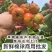 沂蒙山大面球酸甜可口用于冰糖葫芦糖雪球的果子大量上市