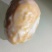 鸡宝