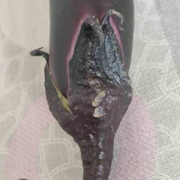长茄子