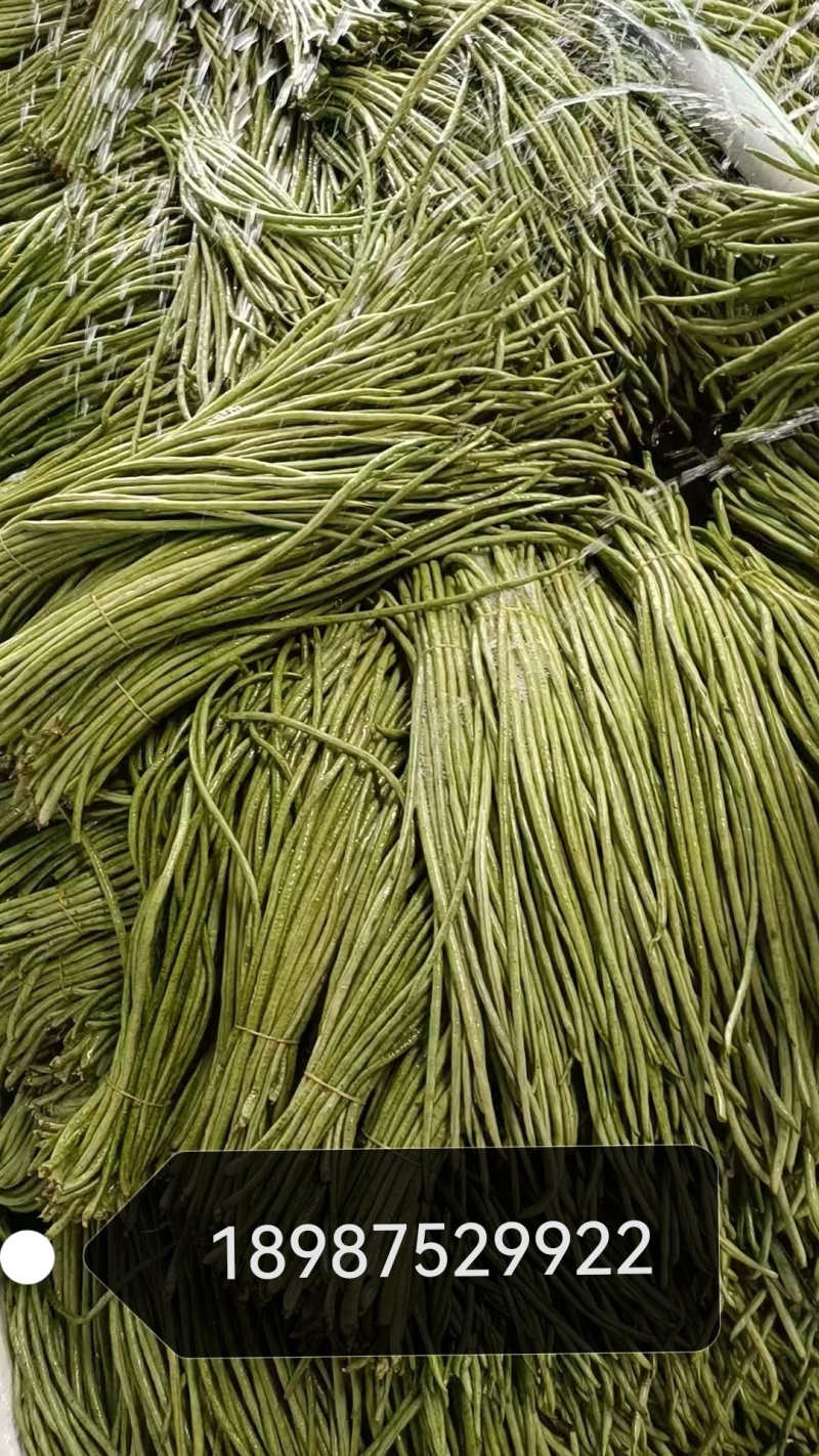 云南优质酸豇豆品质优良欢迎选购量大从优可协助