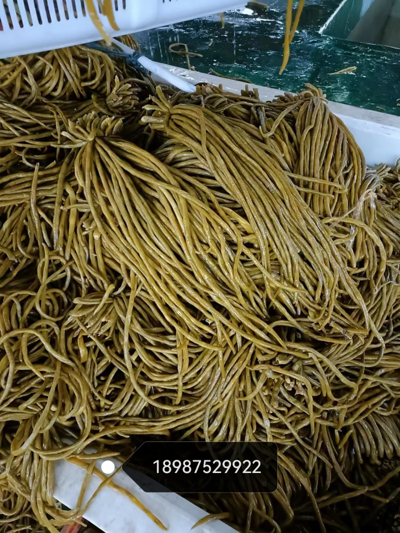 云南优质酸豇豆品质优良欢迎选购量大从优可协助