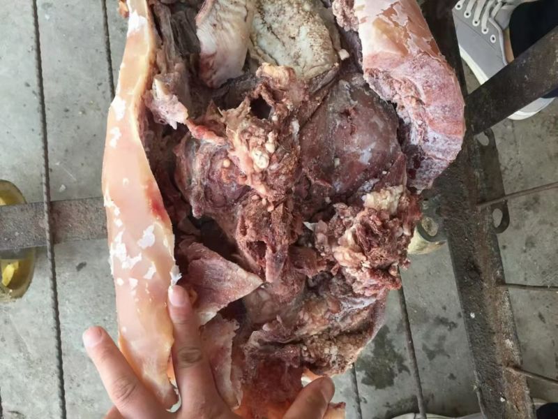 【熟牛头肉】去皮牛头肉