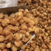 博白龙眼肉桂圆肉