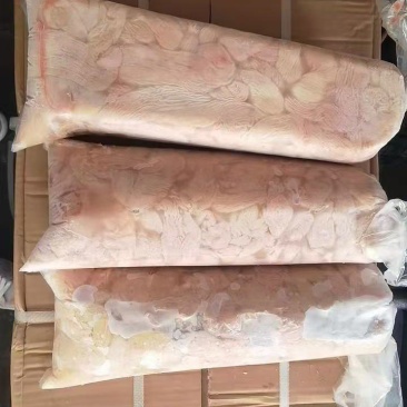 无油生羊拐肠