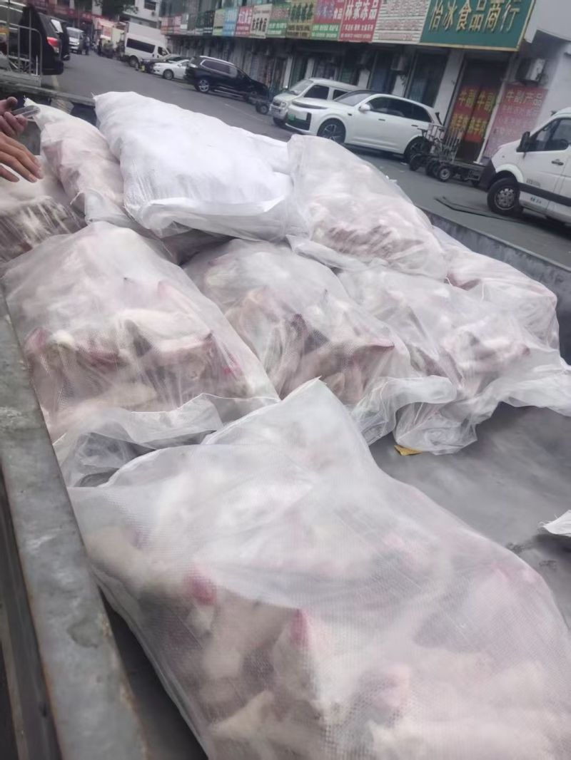 纯育肥白羊蹄南道直销一斤2.5-3个左右