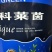 科莱茵碳基海藻聚能肥冲施滴灌灌根20kg/桶装