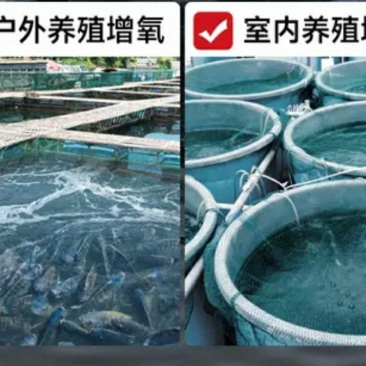 水产鱼塘海鲜养殖环境控制系统酸碱度浊度叶绿素检测增氧控制