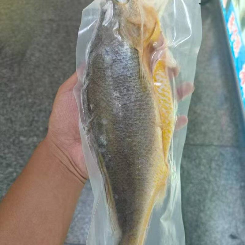 黄花鱼