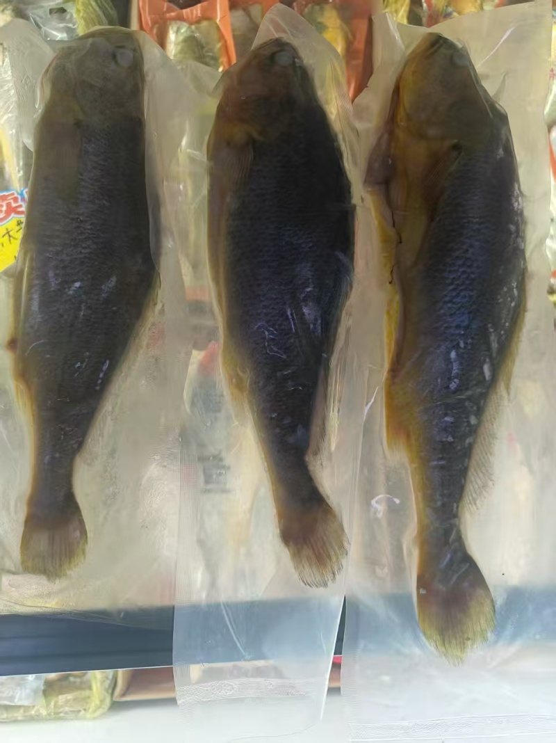黄花鱼