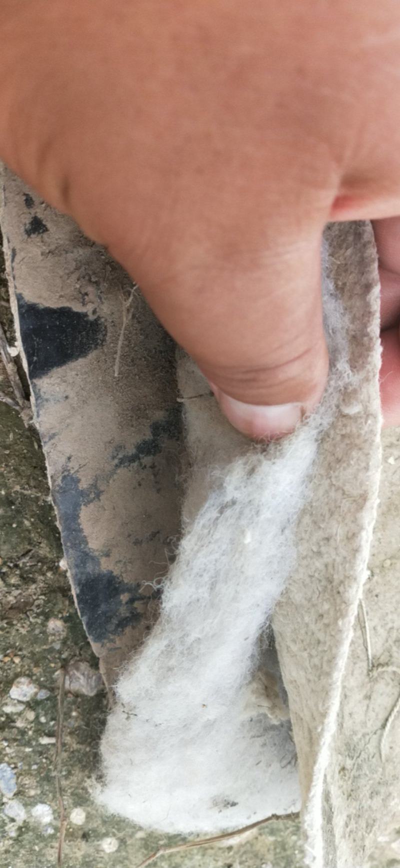 棉被，钢材，二手，需要的联系我