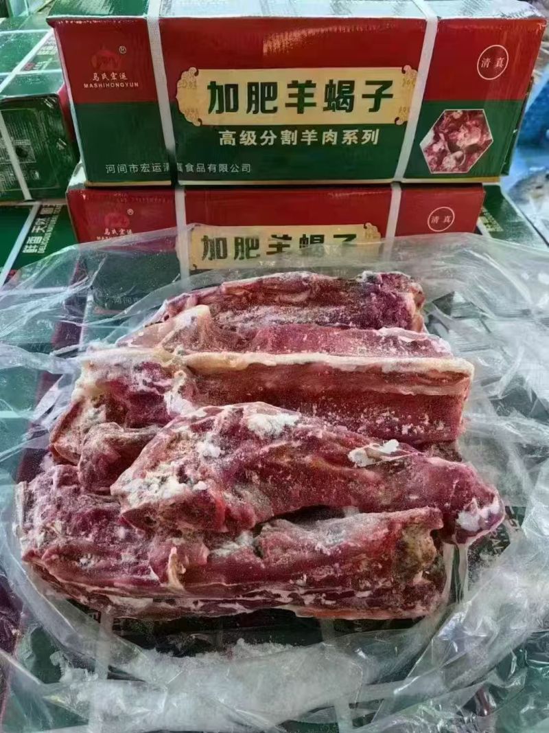 加肥羊蝎子