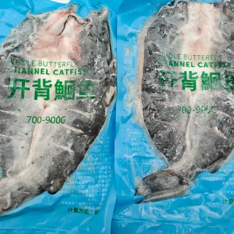 去腥开背清江鱼