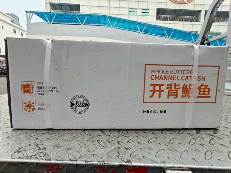 去腥开背清江鱼