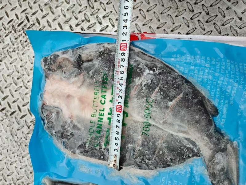 去腥开背清江鱼