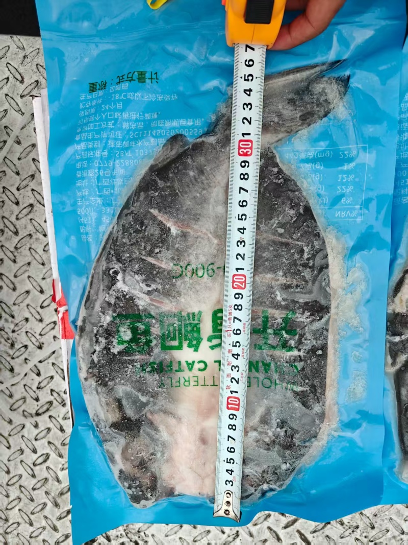 去腥开背清江鱼